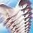 Winged Migration Icon